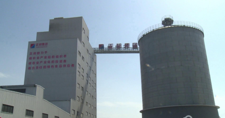 沙(sha)洋(yang)正邦(bang)現(xian)代公(gong)司(si)